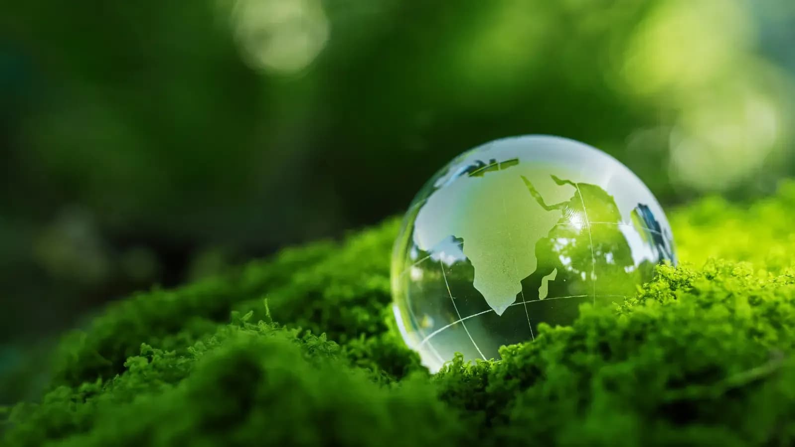 ESG, SRI a impaktové investování: když peníze mají duši