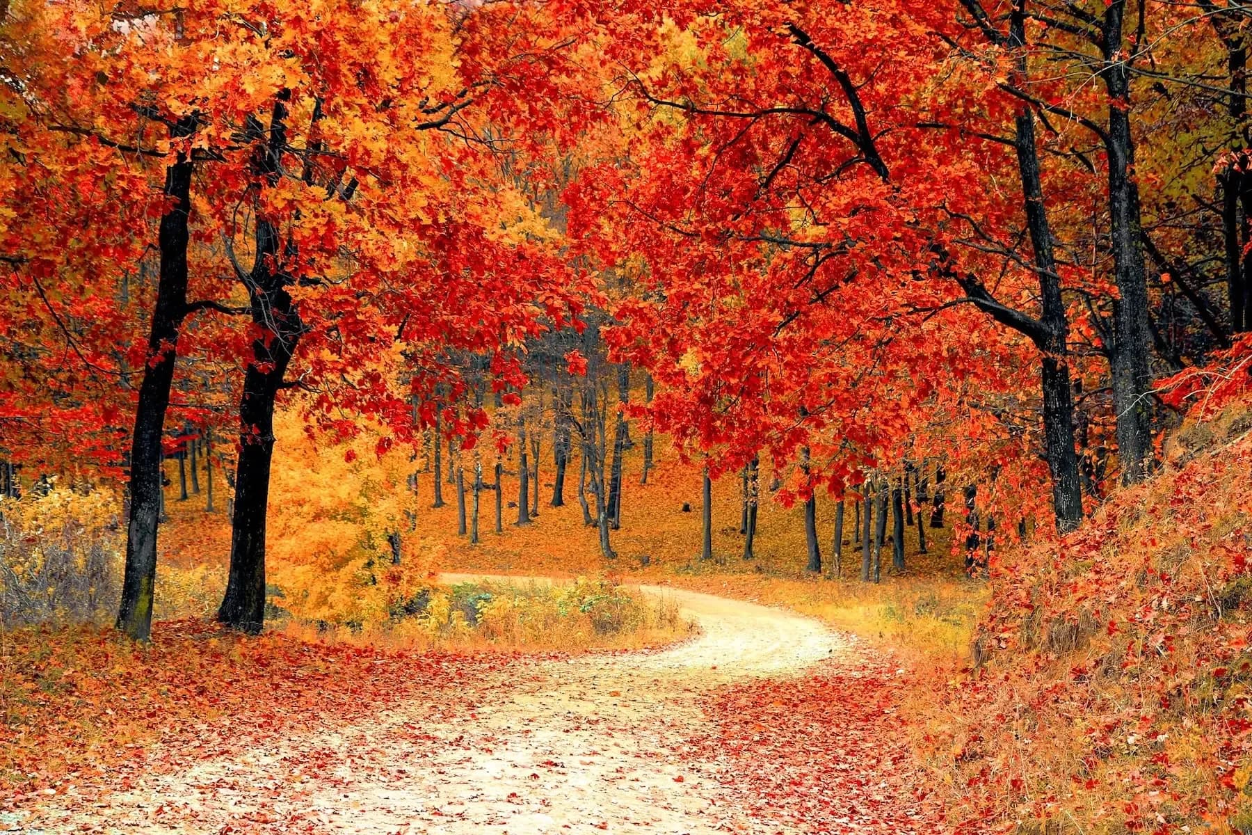 NOVEMBER AND ITS IMPACT ON YOUR PORTFOLIOS